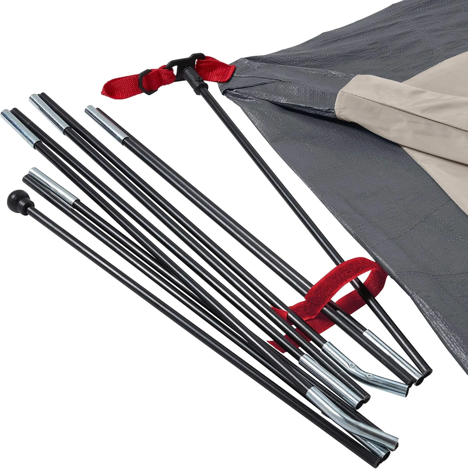 Coleman 4P Skydome Blackberry Tent - Image 6