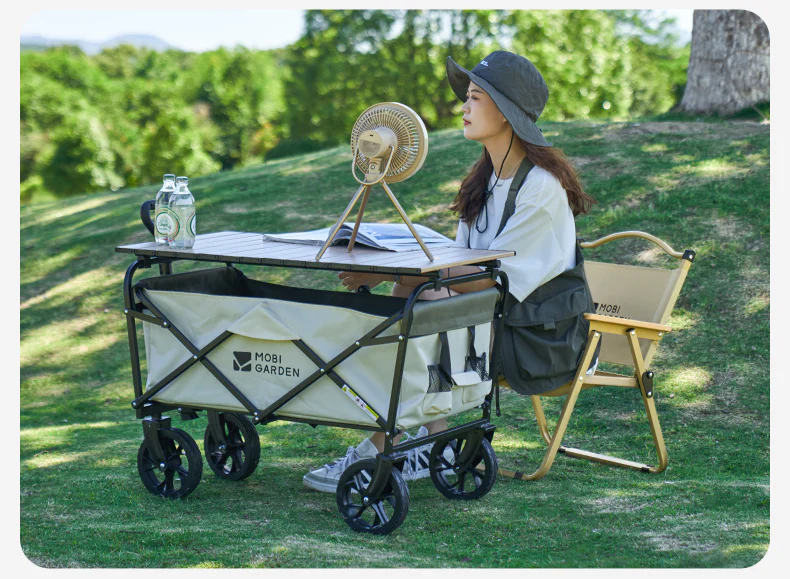 Mobi Garden SC Iron Low Chair 2026 - Image 16